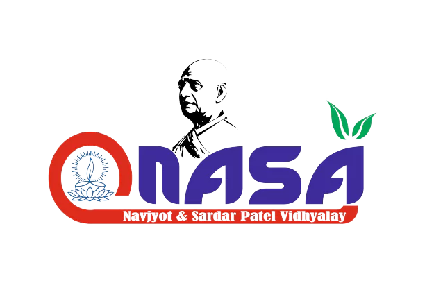 Nasa-School-Logo