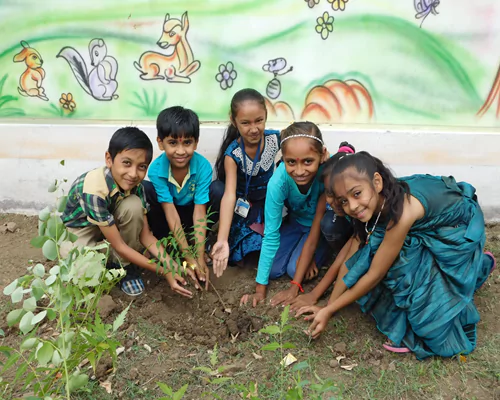 tree-plantation