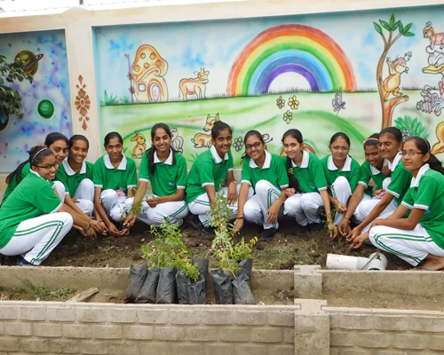 tree-plantation